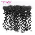 Brazilian Human Hair Curly Lace Frontal